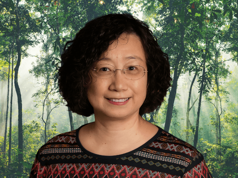 Why peatland restoration is important for public health