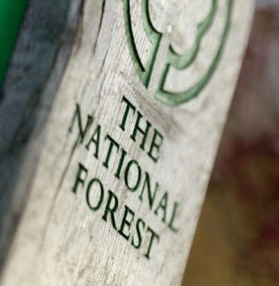 Almost 10 million trees planted by UK National Forest