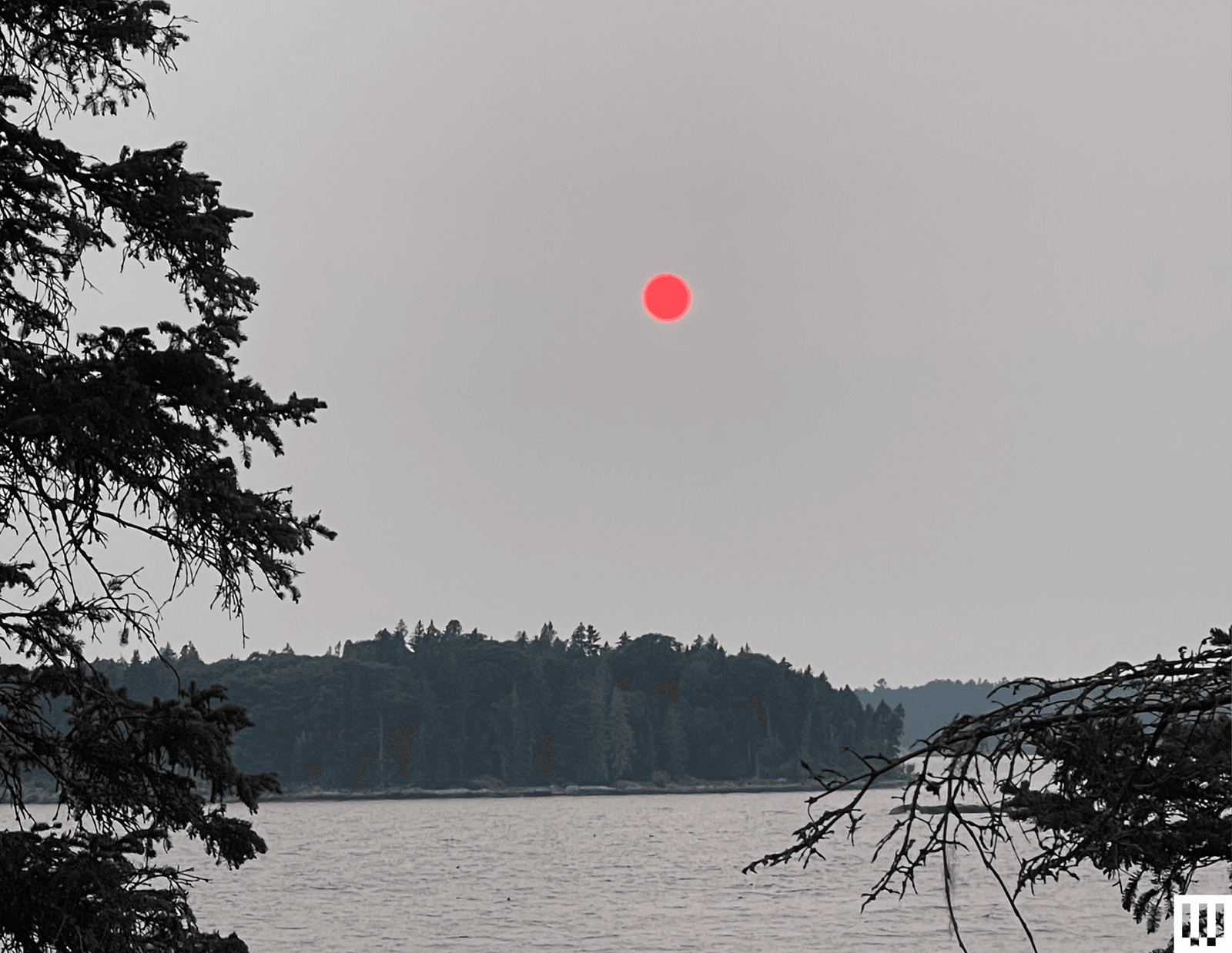 Why You Need an Outdoor Air Quality Monitor (2025)