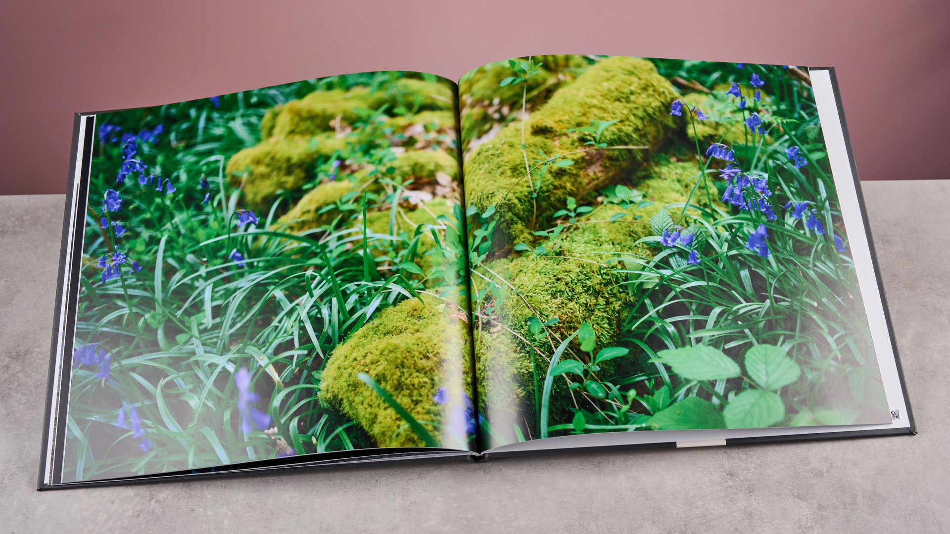 Papier Photo Book review: a simple-to-use photo book service but one that offers limited layouts