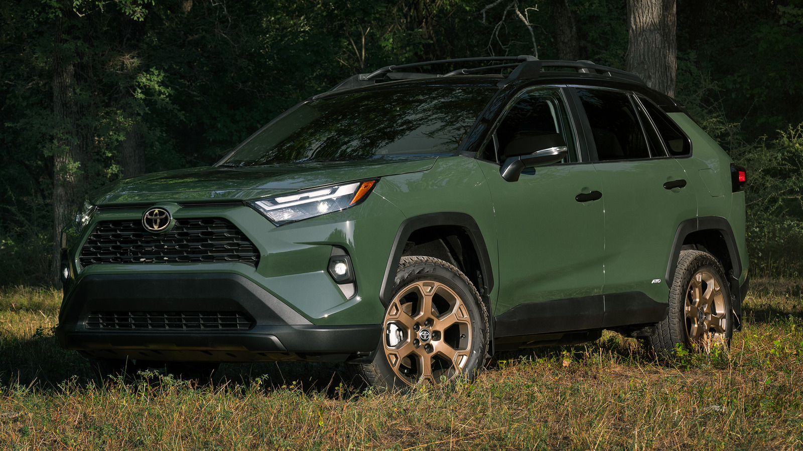 What Makes The Toyota RAV4 Hybrid Woodland Edition Great For Outdoor Adventures?