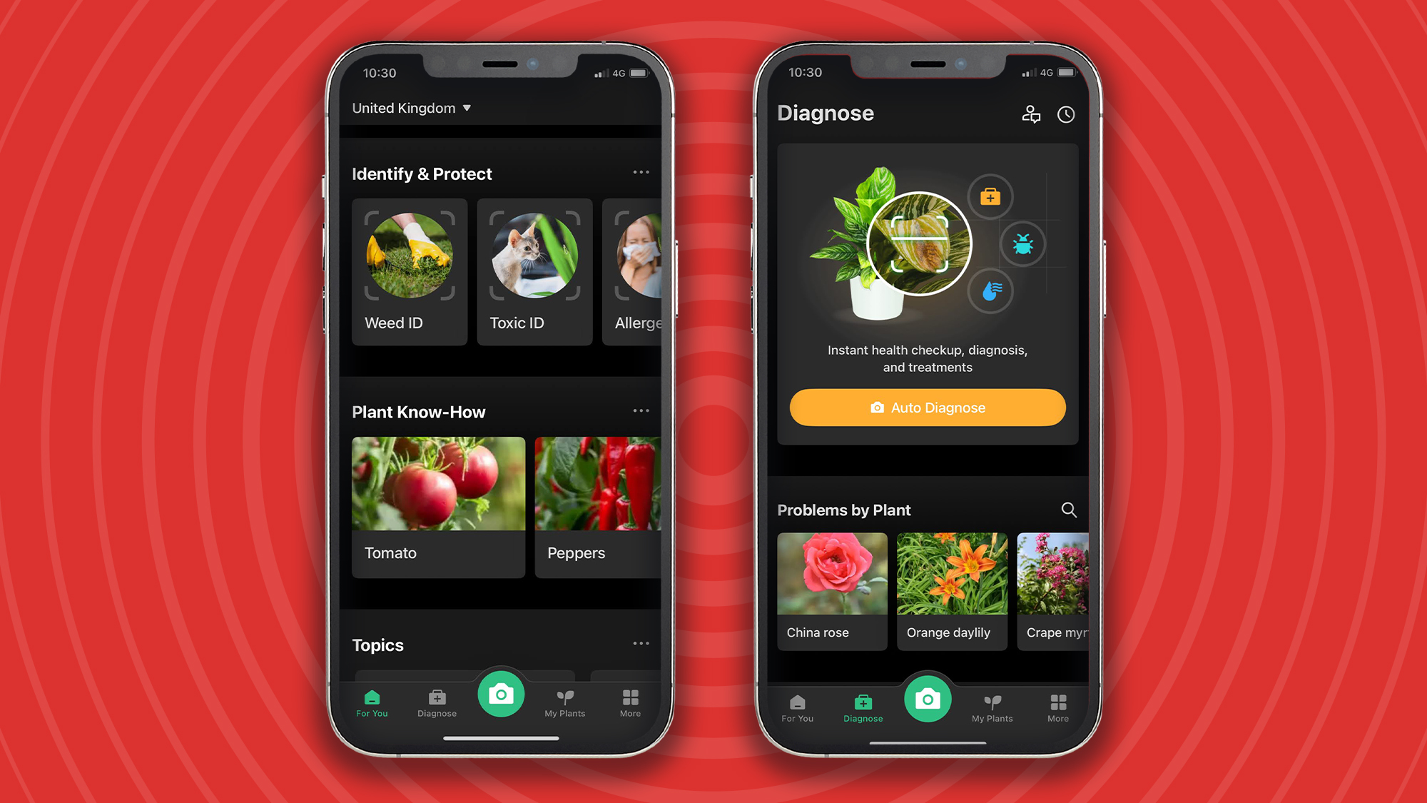 This app knows plants and poisonous possibilities – and it just might save you or your pet