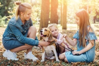 Irish Families, Happy Homes: Finding Puppies and Keeping Spaces Clean