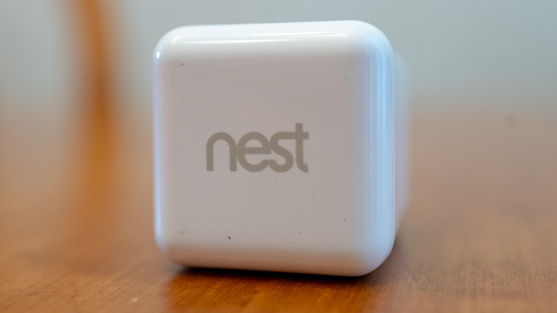 Google Discontinued It’s Nest Brand