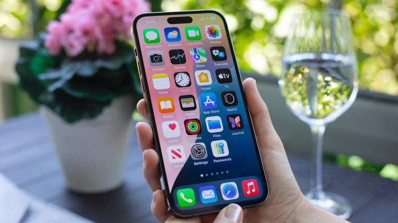 How To Clear Your iPhone Cache (And Why You Should)