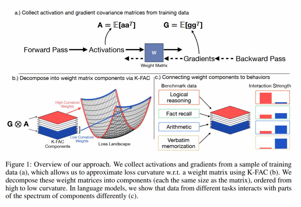 Researchers isolate memorization from reasoning in AI neural networks