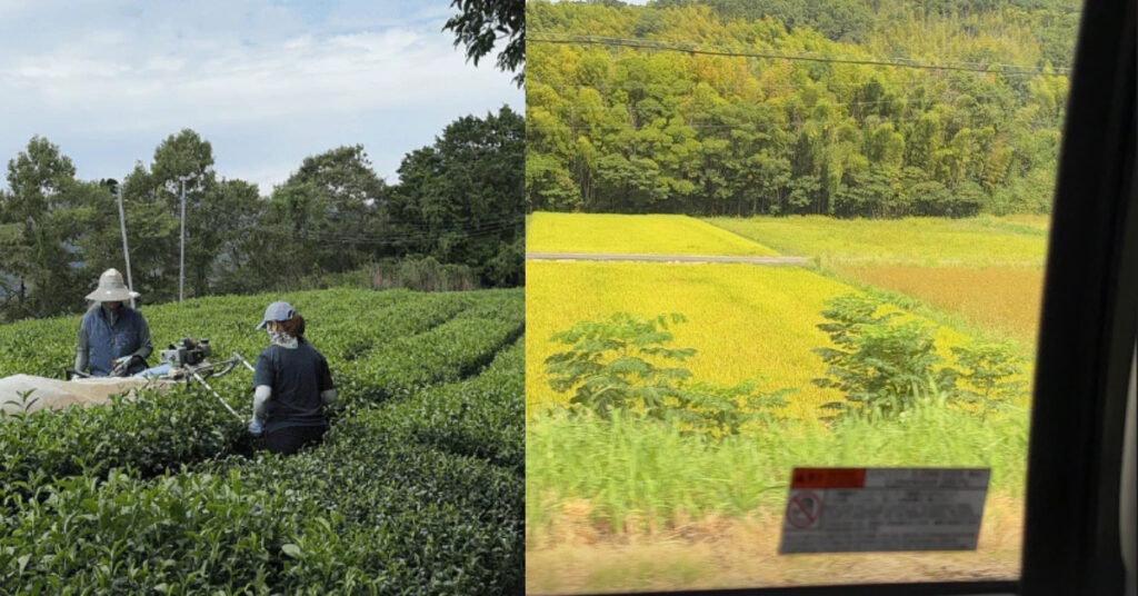 Singapore doesn’t need anymore matcha, but this duo started a matcha biz anyway